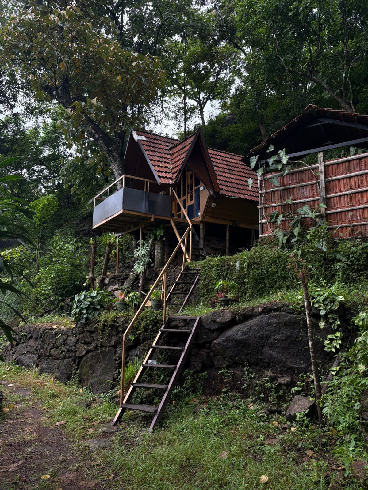 Tree House